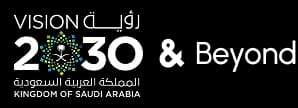 Vision 2030 logo
