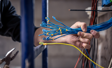 Networking image